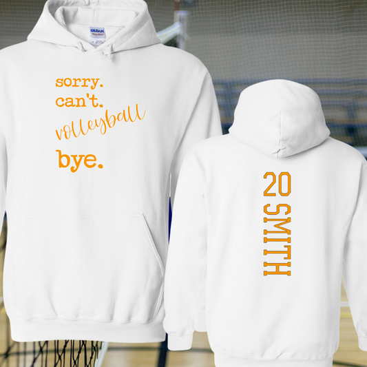 Sorry. Can't.___________ Bye!