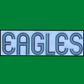EAGLES Crewneck Sweatshirt  💚  Tri Color Logo